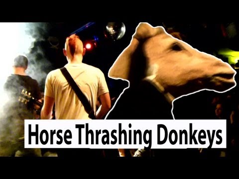 The Ramones - The KKK Took My Baby Away (Horse Thrashing Donkeys)