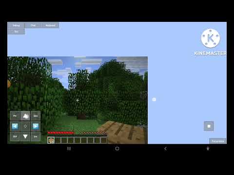 giocho alla versione 1.1 di minecraft!!!!