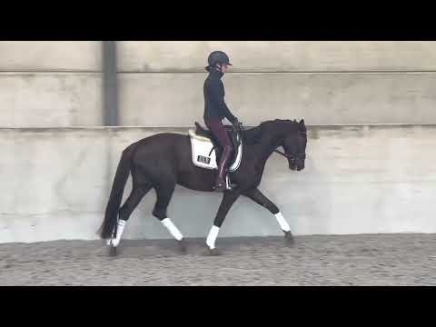 Livaldon x Desperados - 2019