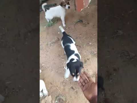 #love #youtubeshorts #sohani$360 #viralvideo