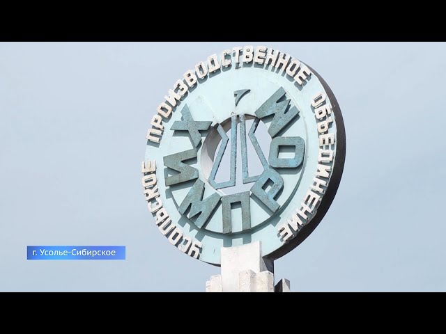 Перспективы развития Усолья-Сибирского обсудили губернатор Приангарья с депутатами Госдумы