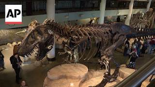 The oldest US natural history museum is closing