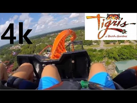 Tigris front seat on-ride 4K POV Busch Gardens Tampa