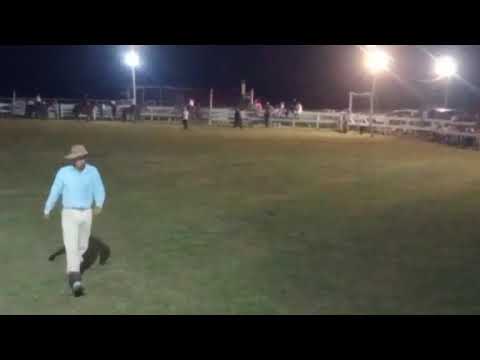 Jineteadas de vacunos - 19° edición "A pura tradición" - Fraile Muerto, Cerro Largo 31/01/2026