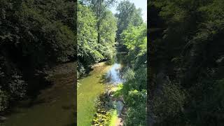 フランスの田舎を流れる川🌿癒し🦋 #france #nature