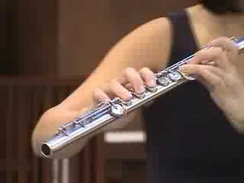 Sonata in G minor for flute by JS Bach