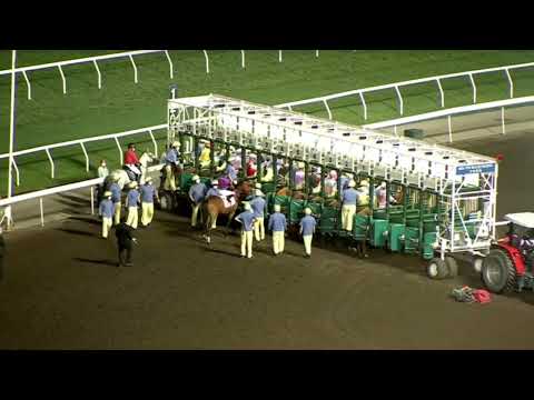 2022 05 04 沙田 第八場 嘉應精英 班德禮