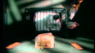 Scheer - Wish You Were Dead