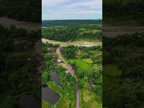 Vereda la Primavera Municipio de Orito Putumayo el puente caído #comparte #dalelike #dji #suscribe