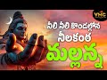 నీలి నీలి కొండల్లోన నీలకంఠ మల్లన్న Srisa