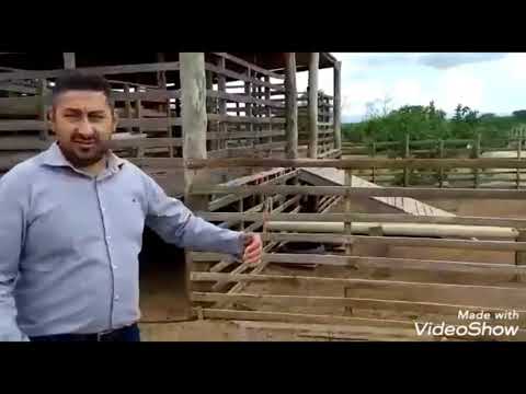 https://youtu.be/tOc8_IvdCpQ?si=05FFUlfBegzcBneS