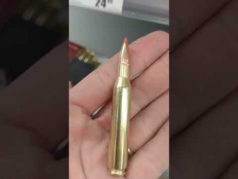30-06 Remington Bronze Point Terminal Performance vs Winchester Silvertip 
