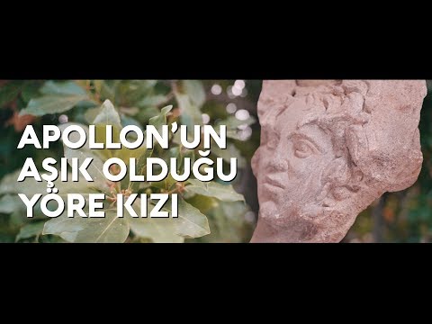 Daphne ile Apollon Efsanesi