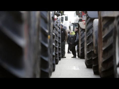 Wenn der Landwirt wütend wird: Die Proteste der Bauern nehmen in ganz Europa zu