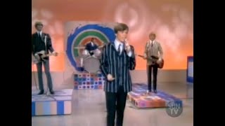 Herman&#39;s Hermits: Dandy (Ed Sullivan Show)