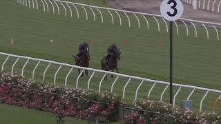 Download lagu Course proper gallops 2 March    Miami Bound : Young Werther mp3