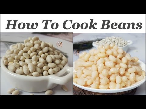 How to Cook Beans in the Instant Pot | Navy Beans | How to Cook Dried Beans in the Instant Pot