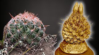 How A Barrel Cactus Became Bronze