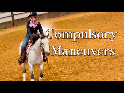 The 2024 Mustang Magic!! Compulsory Maneuvers!