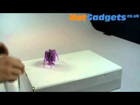 Hexbug Inchworm.avi