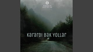 Karardı Bak Yollar - Radio Edit Music Video