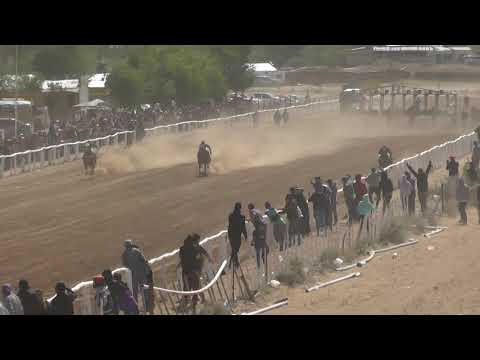 EL 14 - Club Hípico Viento Sur Cutral Co - 12-12-21