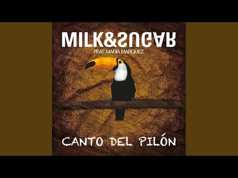 Canto del Pilón (Taan Newjam Radio Edit)