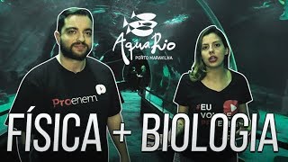 AULA DE BIOLOGIA E FÍSICA NO AQUARIO | Profs. Camila Cavalieri e Artur Neto