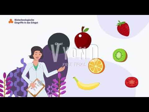 Experiment - Extraktion DNA-Stränge