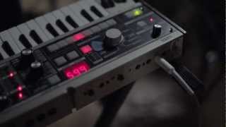 Spoor 8 - Gruppo Di Pawlowski