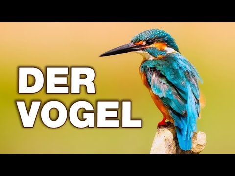 Der goldene Schnurrbart das Ekzem Wo von der Schuppenflechte schmerzen