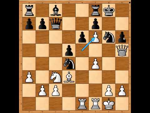 Svi u napad zanimljiva napadačka partija 😎🤣🤣🤣   XIONG vs KARAVADE #3243