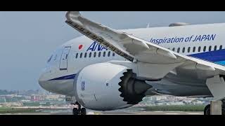 113.11.03.13:30-13:33 All Nippon Airways(ANA)全日本空輸航班編號NH852/台北松山飛東京羽田HNDB789/B788/A3224