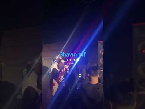 Shawn eff 559