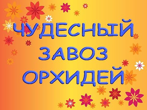 ЧУДЕСНЫЙ ЗАВОЗ ОРХИДЕЙ.Орхидеи почтой;магазин орхидей (Самара),ссылка на группу в описании к видео.