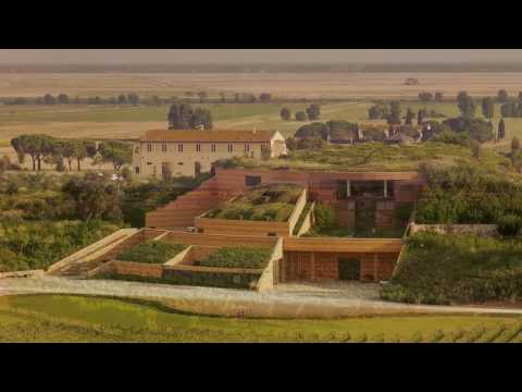 Fattoria Le Mortelle - Maremma