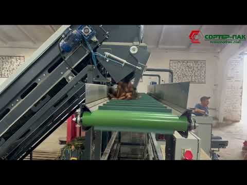 Роликовий калібратор для корнеплодів