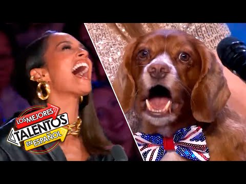 Perro CANTA “Breathe Slow” de Alesha Dixon | Audiciones Inolvidables | Britain's Got Talent