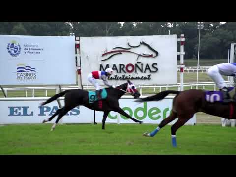 220514 c08 STELLA MARIS