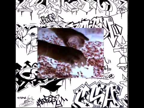 Nooferz - Back To The Lab Part 3 (Chicken Scratch Addict)