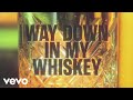 Alan Jackson - Way Down In My Whiskey (Lyric Video)