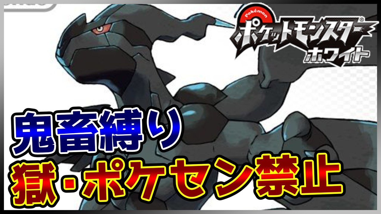 【鬼畜縛り】獄・ポケモンセンター禁止マラソン～イッシュ編～#76【ポケモンBW】