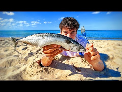 Makrelen Fangen und direkt ROH essen 🍴👀