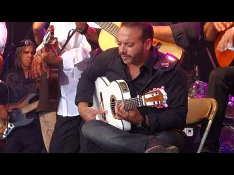 The Original Gypsies Of Carmargue (Ex. Gipsy Kings)
