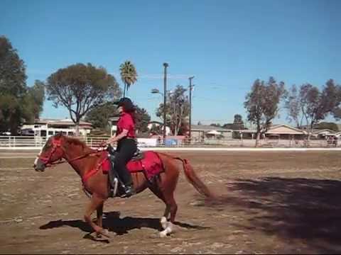 Happy Hoofer's Drill Team 2010