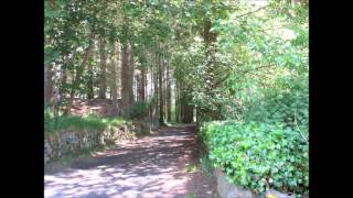 Second date  by Emma Forman