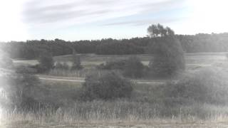 Danmark (Gnags) - Bryan Rice Cover Version