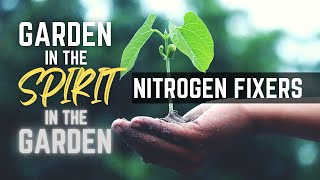 Nitrogen Fixers | Garden in the Spirit