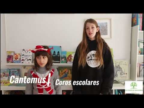 Vídeo Colegio Rincón De Beniscornia