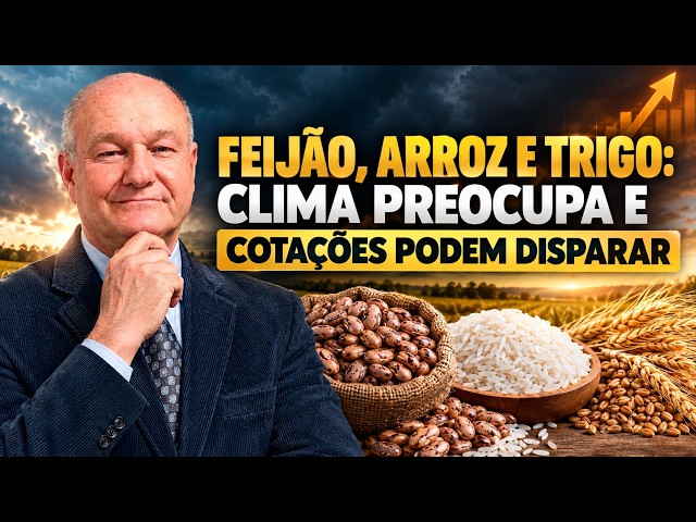 Feijão, Arroz e Trigo: Clima Preocupa e Cotações Podem Disparar.